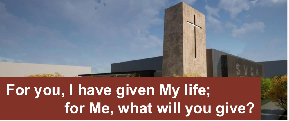 For You, I Have Given My Life